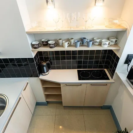 Vintage Studencka 1 Apartment Cracovia Esterno foto
